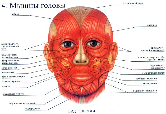 post-15785-1184664654.jpg